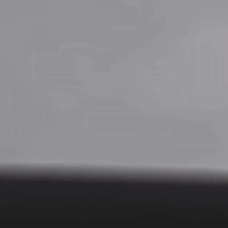 Lens Cleaner